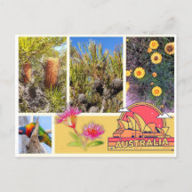 Postkarte Australien