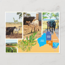 Postkarte Australien