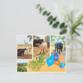 Postkarte Australien (Stehend Vorderseite)