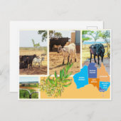 Postkarte Australien (Vorne/Hinten)