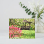 POSTKARTE, "AZALEAS UND GAZEBO, TOLEDO BOTANICAL G POSTKARTE (Stehend Vorderseite)