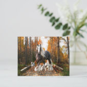 Postkarte "Backroads Ramble" (Stehend Vorderseite)