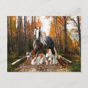 Postkarte "Backroads Ramble"