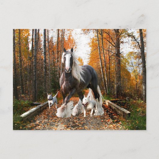 Postkarte "Backroads Ramble" (Vorderseite)