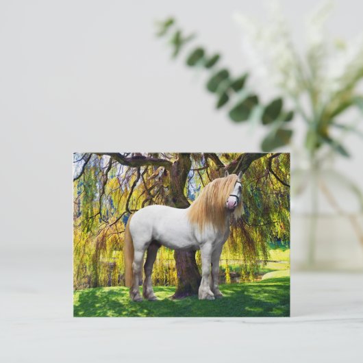 Postkarte "Balthasar" (Stehend Vorderseite)