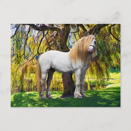 Postkarte "Balthasar" (Vorderseite)