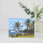 Postkarte, Barbados, Beach Szene, Palmen Postkarte (Stehend Vorderseite)