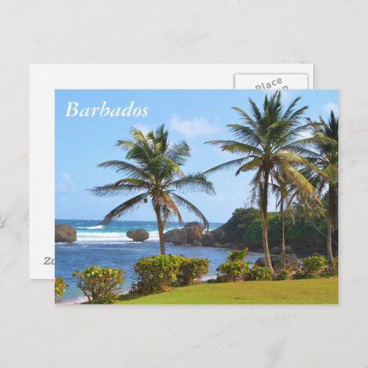 Postkarte, Barbados, Beach Szene, Palmen Postkarte (Vorne/Hinten)