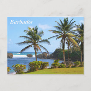 Postkarte, Barbados, Beach Szene, Palmen Postkarte