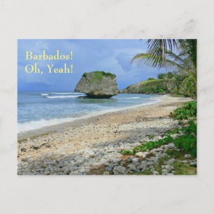 Postkarte, BARBADOS! OH, JA!/ BATHSHEBA ROCK Postkarte