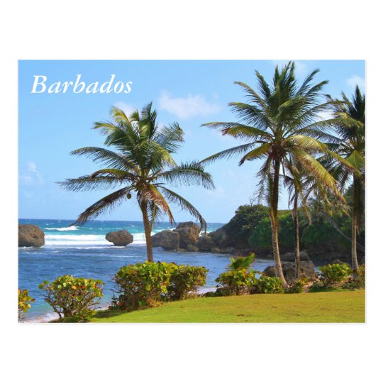 Postkarte Barbados Strand Szene Palmen Postkarte Zazzle De