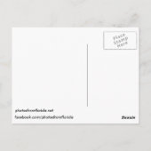 Postkarte Barefoot Beach (Rückseite)