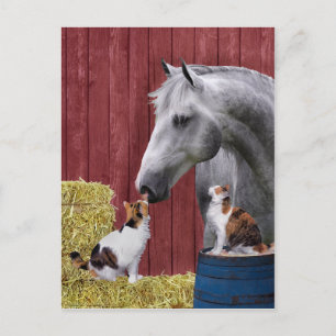 Postkarte "Barn Buds"