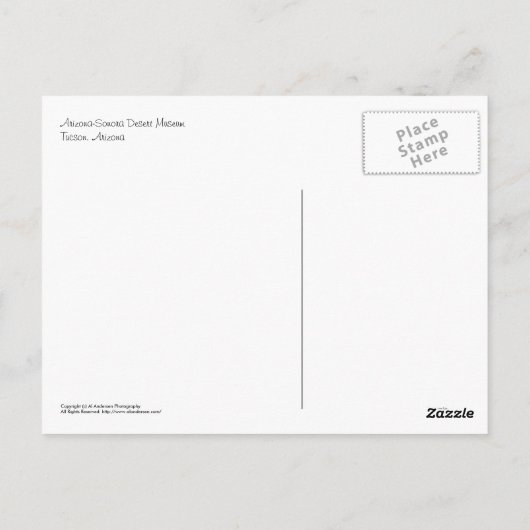 Postkarte: Barschüssel #1 (Landschaft) Postkarte (Rückseite)