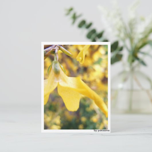 Postkarte - Belbe Blüte (Stehend Vorderseite)