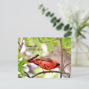 Postkarte „Bessere Tage kommen“