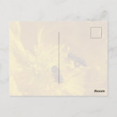 Postkarte Bienen (Rückseite)