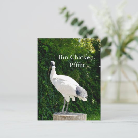 Postkarte Bin Chicken Pfftt (Ibis) (Stehend Vorderseite)
