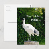 Postkarte Bin Chicken Pfftt (Ibis) (Vorne/Hinten)
