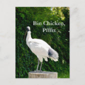 Postkarte Bin Chicken Pfftt (Ibis) (Vorderseite)