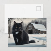 Postkarte Black Cat Reihe 2 02 (Vorne/Hinten)