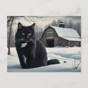 Postkarte Black Cat Reihe 2 02
