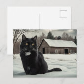 Postkarte Black Cat Reihe 2 03 (Vorne/Hinten)