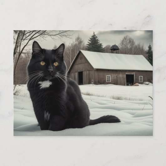 Postkarte Black Cat Reihe 2 03 (Vorderseite)