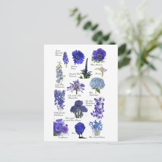 Postkarte Blau (Stehend Vorderseite)