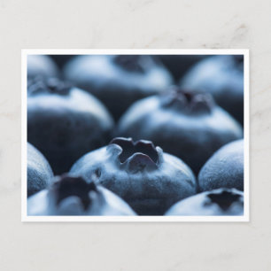 Postkarte - Blaubeeren