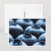 Postkarte - Blaubeeren (Vorne/Hinten)