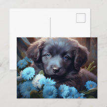 Postkarte Blaublütige Hundskarte
