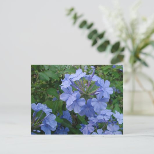 Postkarte - Blaue Blumen (Stehend Vorderseite)