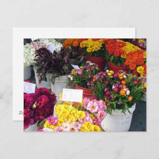 Postkarte - Blume (Vorne/Hinten)