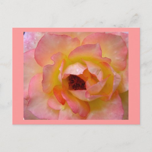 Postkarte-Blume-10 Postkarte (Vorderseite)