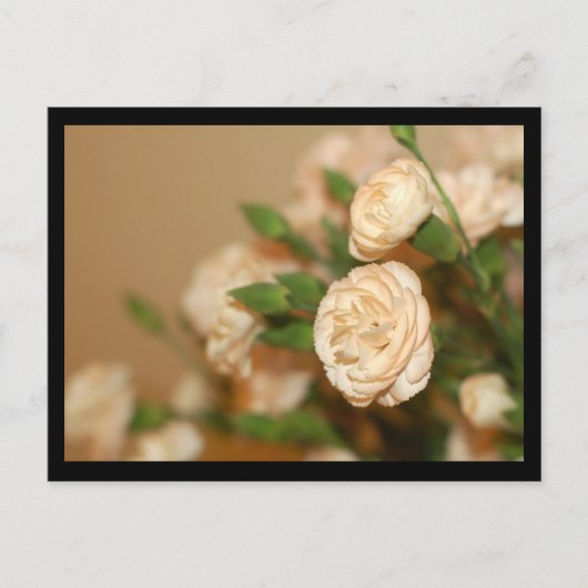 Postkarte-Blume-21 Postkarte (Vorderseite)