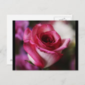 Postkarte-Blume-26 Postkarte (Vorne/Hinten)