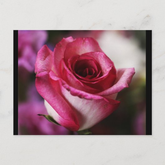 Postkarte-Blume-26 Postkarte (Vorderseite)