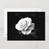 Postkarte-Blume-41 Postkarte (Vorne/Hinten)