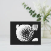 Postkarte-Blume-51 Postkarte (Stehend Vorderseite)