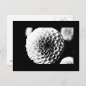 Postkarte-Blume-51 Postkarte (Vorne/Hinten)