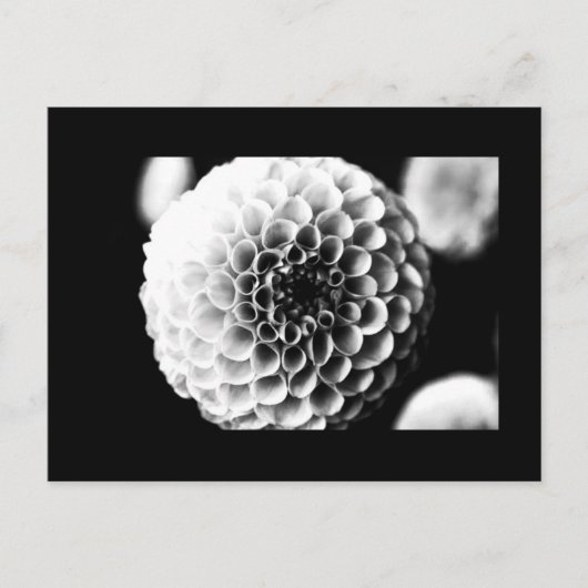 Postkarte-Blume-51 Postkarte (Vorderseite)