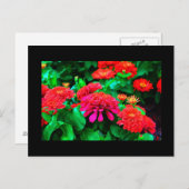 Postkarte-Blume-61 Postkarte (Vorne/Hinten)