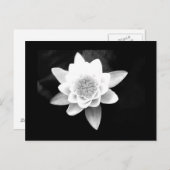 Postkarte-Blume-63 Postkarte (Vorne/Hinten)