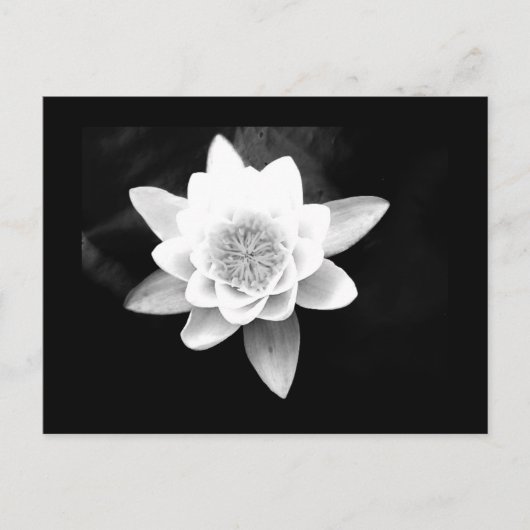 Postkarte-Blume-63 Postkarte (Vorderseite)