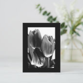 Postkarte-Blume-64 Postkarte (Stehend Vorderseite)