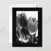 Postkarte-Blume-64 Postkarte (Vorne/Hinten)