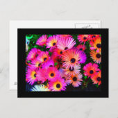 Postkarte-Blume-68 Postkarte (Vorne/Hinten)