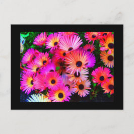 Postkarte-Blume-68 Postkarte