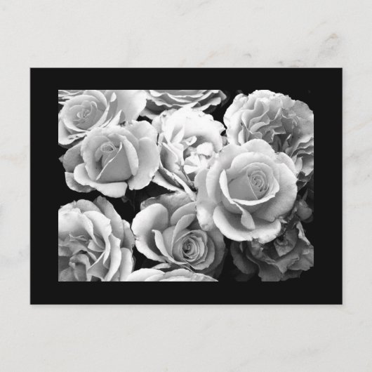 Postkarte-Blume-74 Postkarte (Vorderseite)